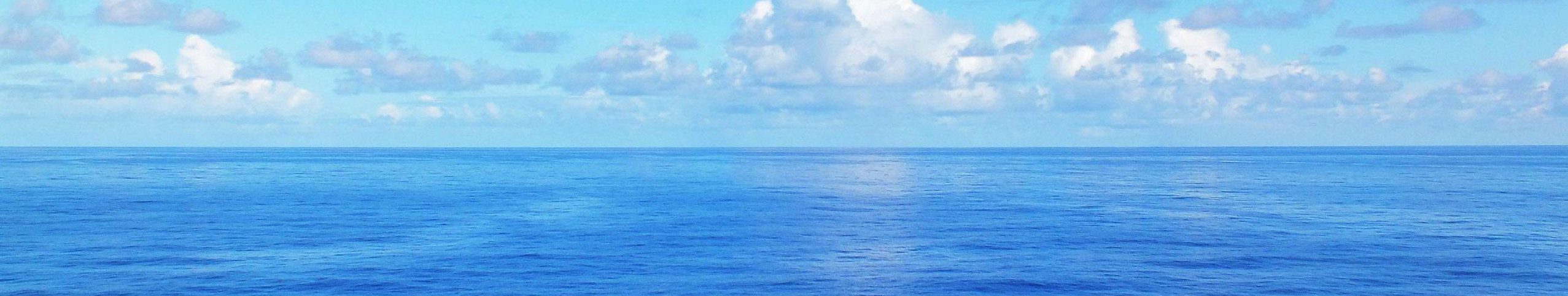 ocean bandeau